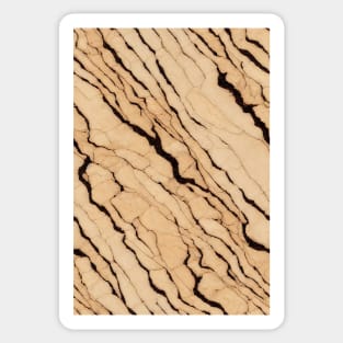 Travertine Stone Pattern Texture #11 Sticker